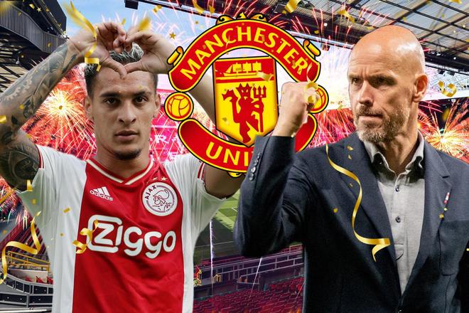 可对标的样 可对标的样